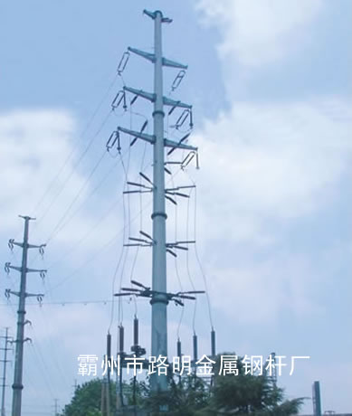 110kV˫·ն˵