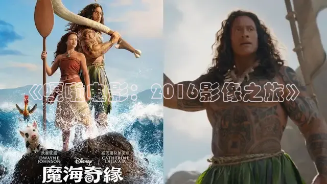 88影视电视网